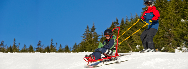 long ski photo